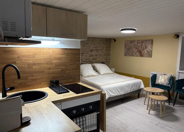 Le Ptit Saint Michel Au Cœur Du Centre Historique Appartement